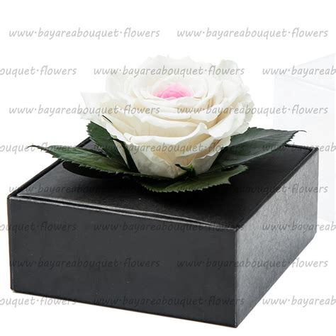 Preserved Rose T Box Pinkwhite Show Your Everlasting Love With