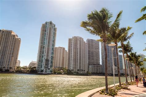 Approved City Adopts Plan To Achieve Carbon Neutrality By 2050 Miami