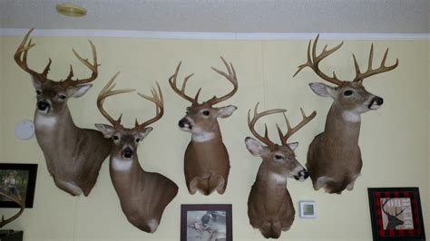 Biggest Buck Youve Shot Page 4 Kentucky Hunting