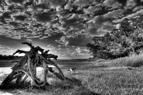 Black And White Landscape Photography 29 Free Wallpaper