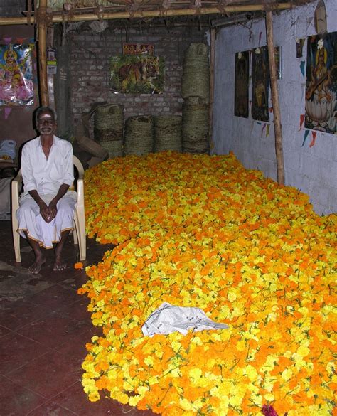 Marigold Seller Kerala India