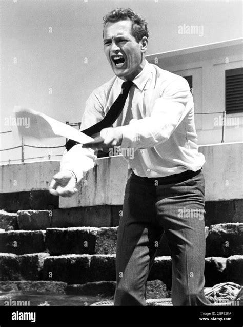SWEET BIRD OF YOUTH Paul Newman 1962 Stock Photo Alamy