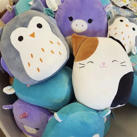 Squishmallows Twitter Search