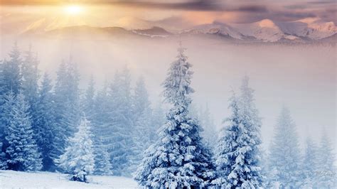 Beautiful Winter Wonderland Background Images Largest Wallpaper Portal