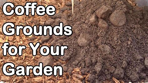 It also makes a great foliar feed you can spray directly on the leaves. Coffee Grounds: How And Why We Use Them In Our Garden ...