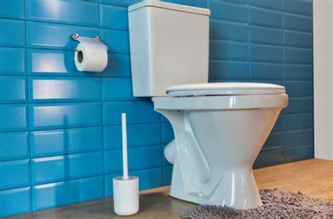 4 Reasons Why Toilet Leaks When Flushed Jessica Paster
