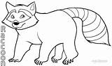 Coloring Raccoon Printable Template Outline Cool2bkids Templates sketch template
