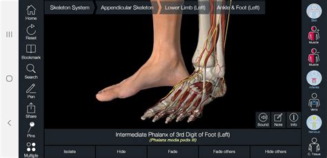Essential Anatomy 5 Latest Version 130 For Android