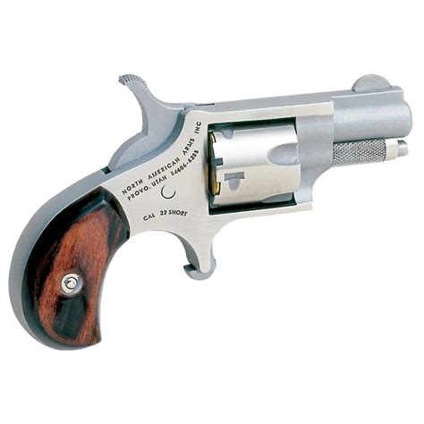 Naa 22 Short Mini Revolver Revolver 22 Short Rimfire 22s