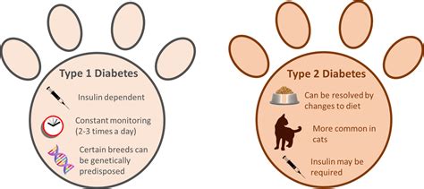 Normal Blood Glucose For Cats And Dogs Damion Thorton