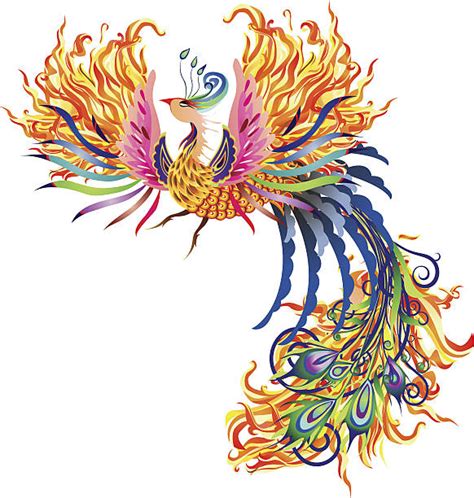 Royalty Free Phoenix Bird Clip Art Vector Images And Illustrations Istock