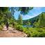 Germany’s 10 Best Hiking Trails  Lonely Planet