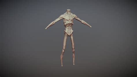 Skinny 3d Models Sketchfab