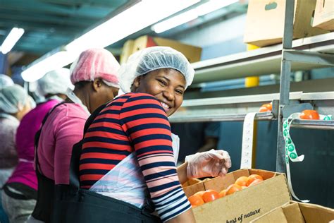 Careers - Work Where You Belong | Lipman Family Farms