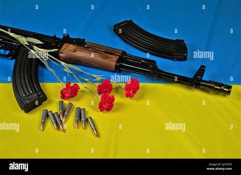 Ak 47 Rifle Magazines Ammunition And Red Carnation Flower Lying On A