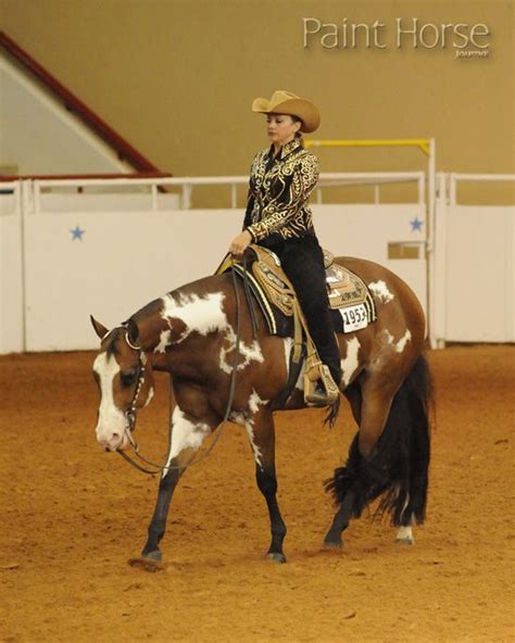 Pin By Crysta On Poetry In Motion Show Horses Horses Western
