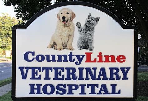 Willowood acres veterinary clinic romulus, mi. Hospital Tour | County Line Veterinary Hospital