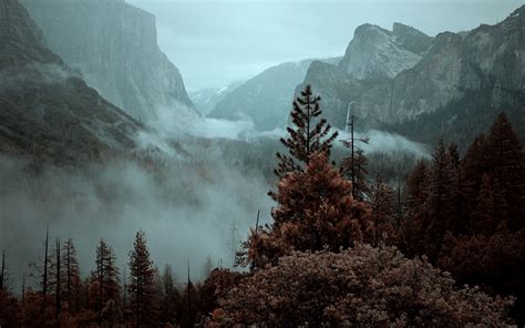Download Wallpaper 3840x2400 Mountains Trees Spruce Fog Nature 4k