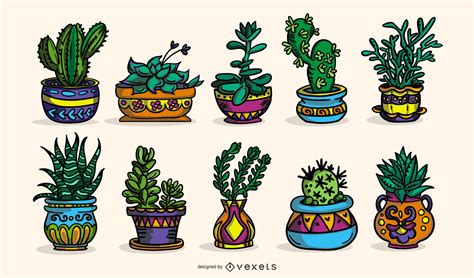 Succulent Plants Colored Illustration Collection Vector Download