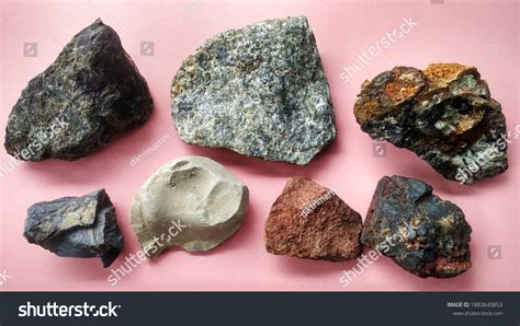 1011 Organic Sedimentary Rock Images Stock Photos And Vectors