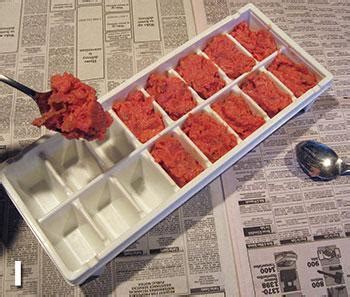 But, if your cat is ill, you must consult a veterinarian before you change your cat's diet. Feline Nutrition's Easy Homemade Cat Food Recipe