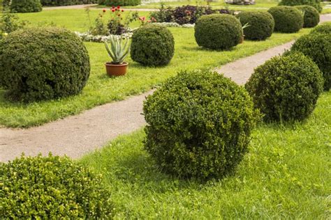 Garden With Shrubs Bush And Green Lawns Landscape Design Stock Photo