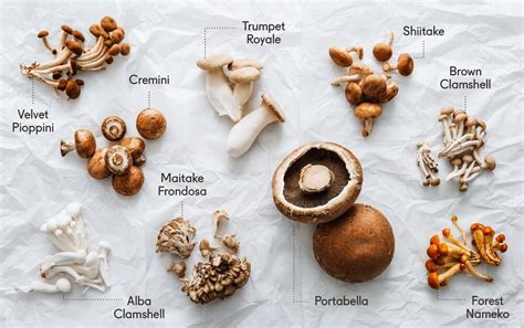 How To Cook Different Types Of Mushrooms Scratchpad By Good Eggs