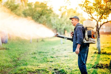 Mosquito Pest Control In Mesa Varsity Pest Control