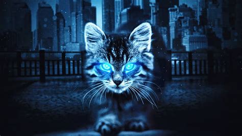 Cat Glowing Eyes Cat Animals Artist Artwork Digital Art Hd