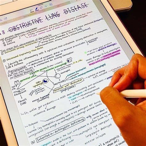 Beautiful Med School Study Notes On The Ipad Pro Nursing School Notes