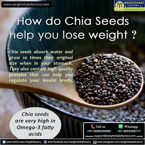 Organic chia seeds are often used as feed for lactating dairy cows because they contain concentrated energy as well as fiber and protein. Chia seeds help lose weight - Ideal figure