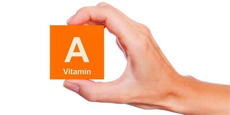 Ternyata Ada Manfaat Vitamin A Selain Untuk Kesehatan Mata •