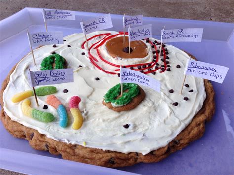 Animal Cell Cookie More Edible Cell Project Plant Cell Project Cell