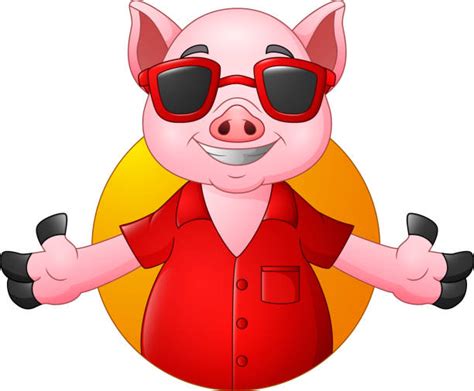 Pig Sunglasses Illustrations Royalty Free Vector Graphics And Clip Art