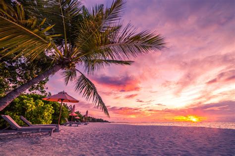 Tropical Beach Sunset By Icemanphotos