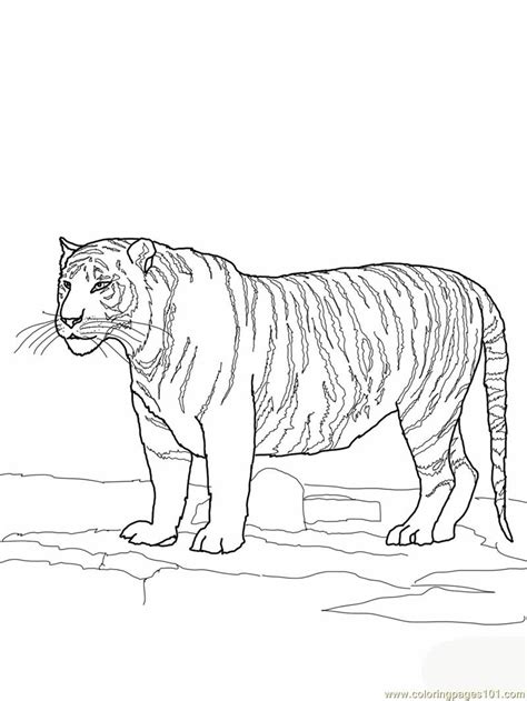 Https://tommynaija.com/coloring Page/printable Animal Coloring Pages