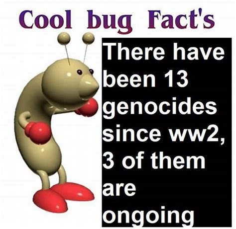 Cool Facts Cool Bug Facts Know Your Meme