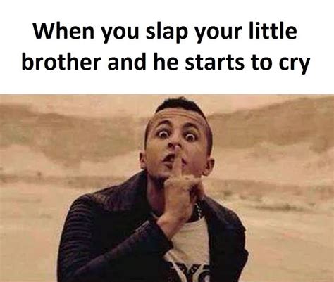 little brother brother memes funny picture quotes funny mom quotes