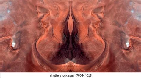 Sex Pussy Vulva Clitoris Vagina Orgasm Stock Photo 790444015 Shutterstock