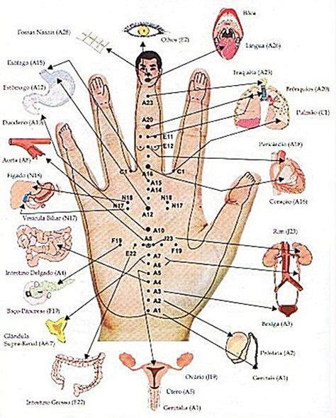 pin by john wayoi on meridian hand reflexology acupuncture reflexology massage