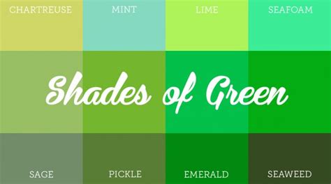 Mesmerizing Impact Of Green Colored Brand Identity