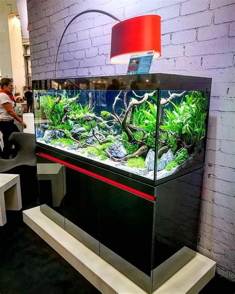 Home Aquarium Ideas