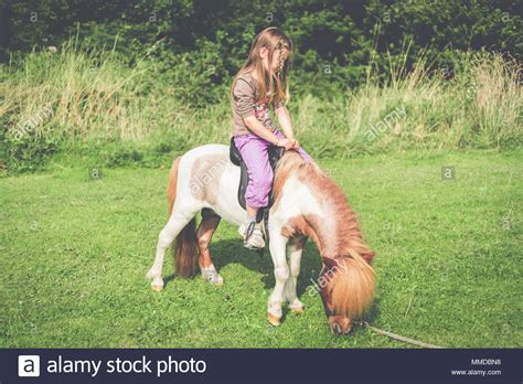 Find the latest falabella sa (falabella.sn) stock quote, history, news and other vital information to help you with falabella s.a. Boho Mädchen sass Reiten auf Miniatur Pferd Beweidung in ...