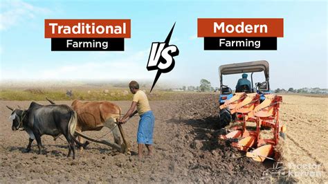 Difference Between Traditional Farming Vs Modern Farming