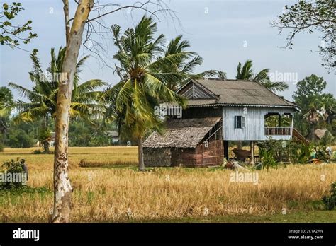 Village House In Cambodian Countryside Stock Photo Alamy