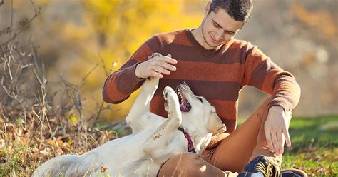 résultats de recherche d images pour photo chien et son maitre chiens heureux chien