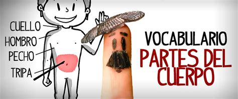 Vocabulario Partes Cuerpo Espanol Tio Spanish