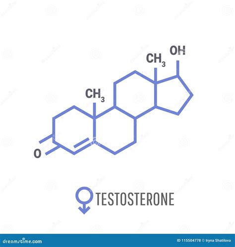 Sex Hormones Molecular Formula Stock Vector Illustration Of Oestrogen Chemical 115504778