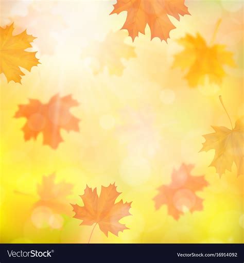 Autumn Background With Blurred Maple Fallen Leaves