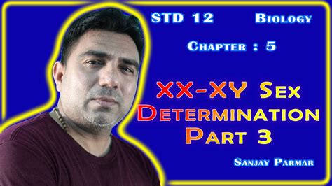 xx xy sex determination std 12 biology gujarati medium sanjay parmar youtube